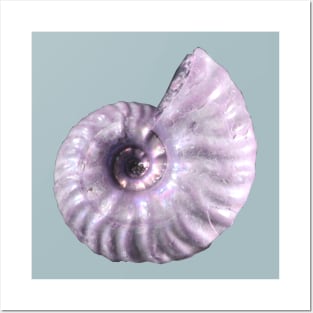 Opalized Ammonite Posters and Art